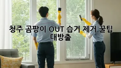 🏠 청주 곰팡이 OUT! 습기 제거🧹✨ 꿀팁 대방출!