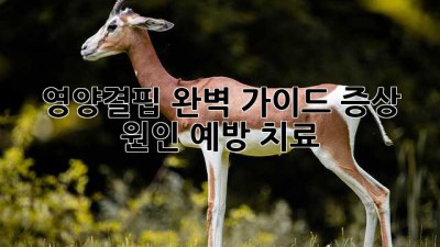 영양결핍 완벽 가이드: 증상, 원인, 예방, 치료
