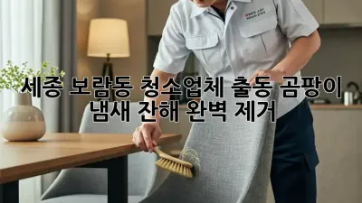 세종 보람동 청소업체 출동: 곰팡이, 냄새, 잔해 완벽 제거!