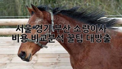 🚚 서울, 경기, 부산 소량이사 비용 비교분석! 꿀팁 대방출 🍯