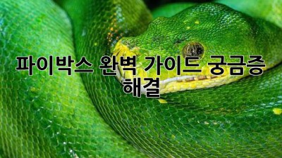 파이박스 완벽 가이드: 궁금증 해결!